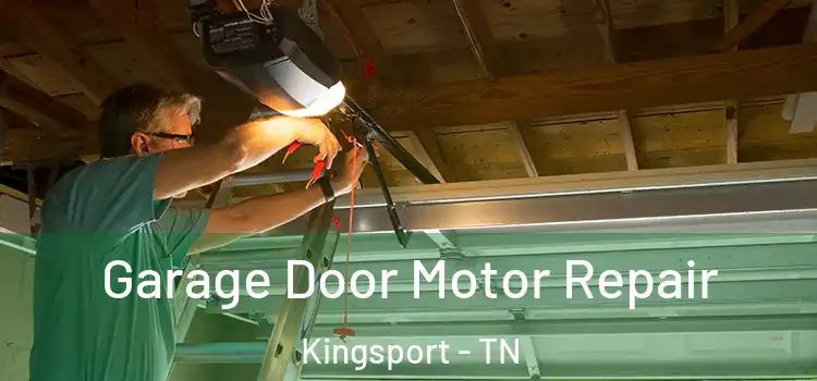  Garage Door Motor Repair Kingsport - TN