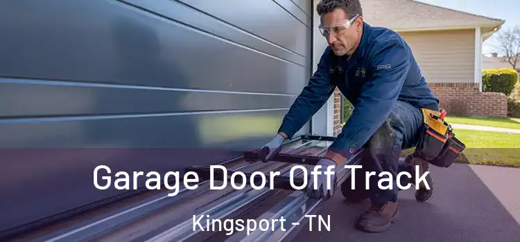  Garage Door Off Track Kingsport - TN