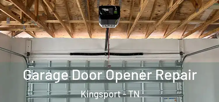  Garage Door Opener Repair Kingsport - TN
