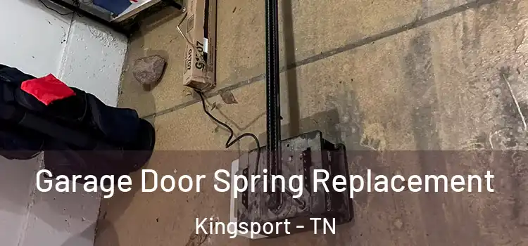  Garage Door Spring Replacement Kingsport - TN