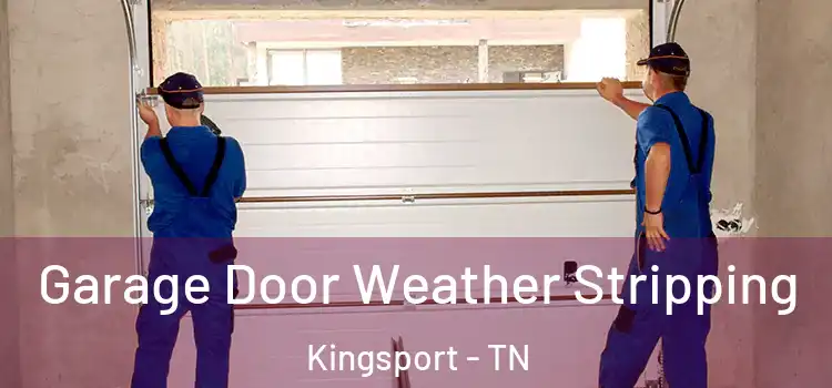  Garage Door Weather Stripping Kingsport - TN