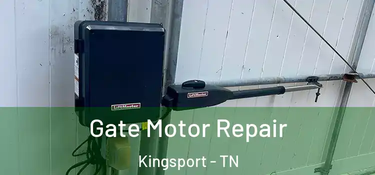 Gate Motor Repair Kingsport - TN