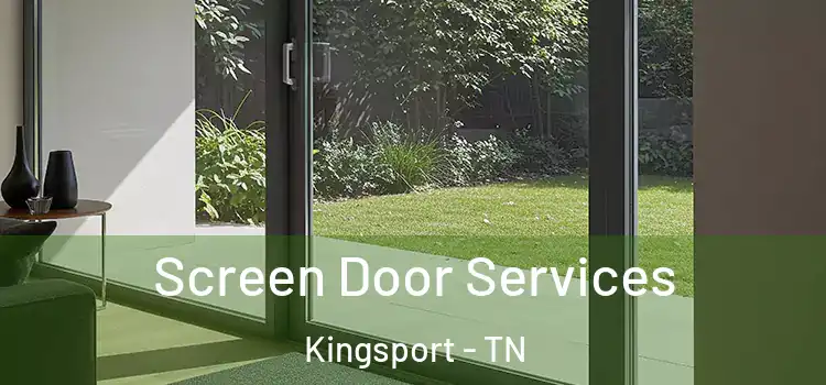 Screen Door Services Kingsport - TN