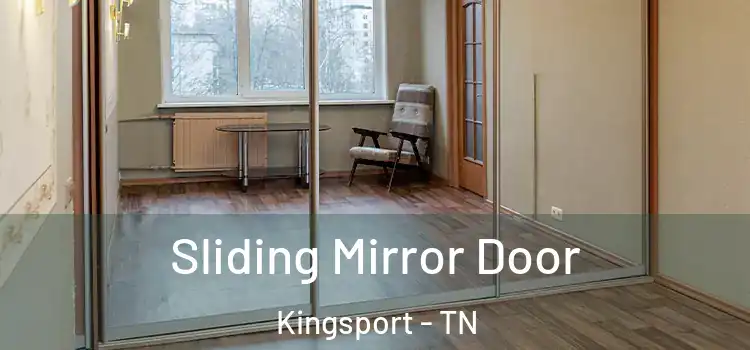  Sliding Mirror Door Kingsport - TN