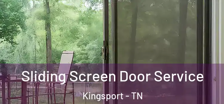 Sliding Screen Door Service Kingsport - TN
